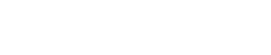 ロゴ：70th NAKANIHON AIR